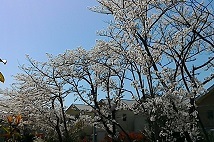 f0395164_23150592.jpg