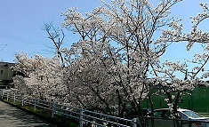 f0395164_23152137.jpg