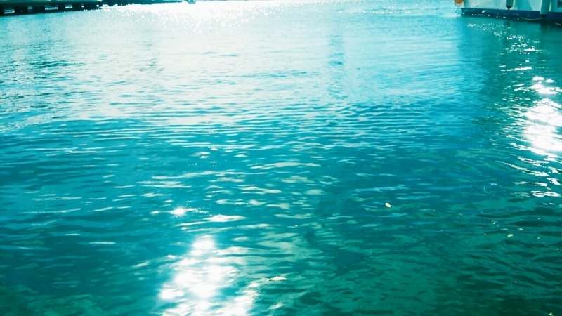 f0373568_06005812.jpg