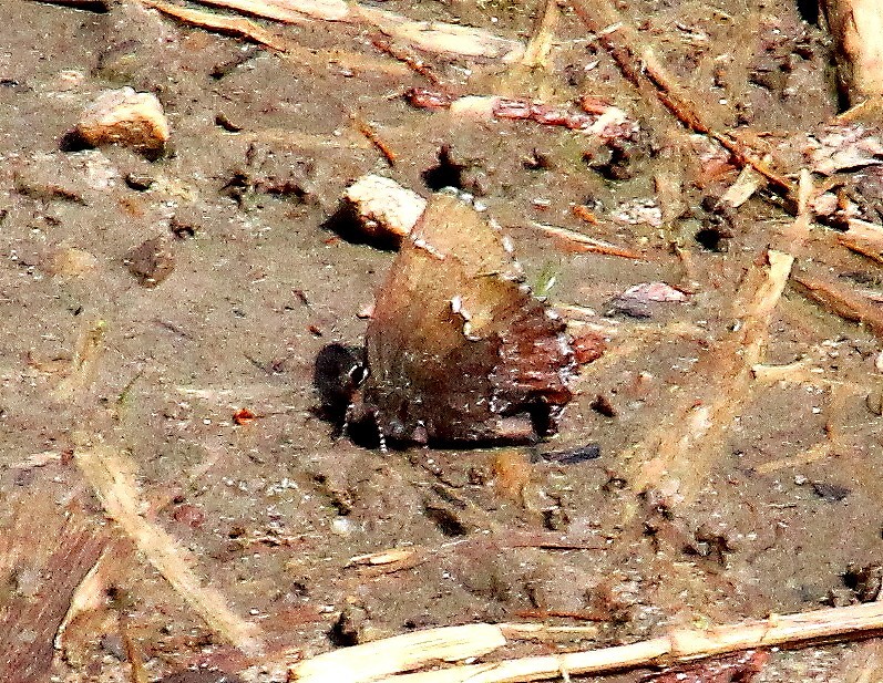 b0320769_15004487.jpg