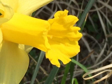 b0163381_11231711.jpeg