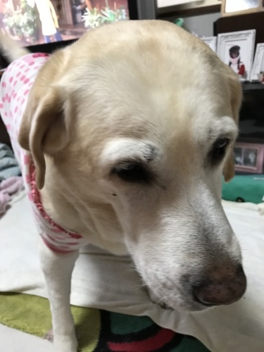 f0315081_22212356.jpeg