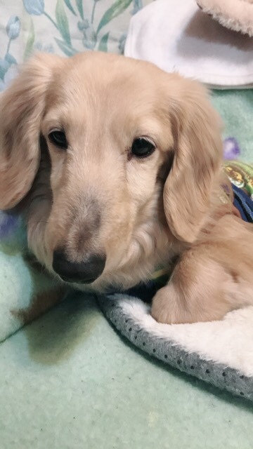 b0377882_23401009.jpeg