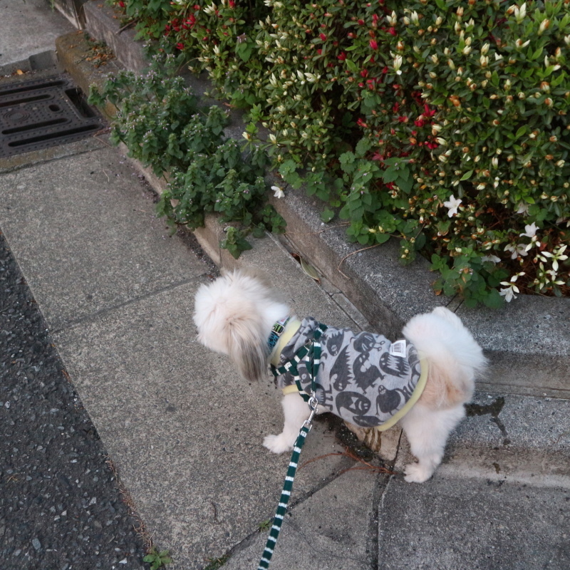 f0280186_06103643.jpg