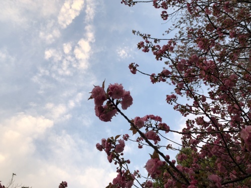 b0132389_21555350.jpeg