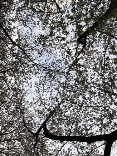 b0132389_21560723.jpeg