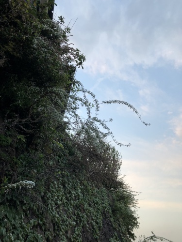 b0132389_21562494.jpeg