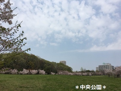 f0372998_22282772.jpg