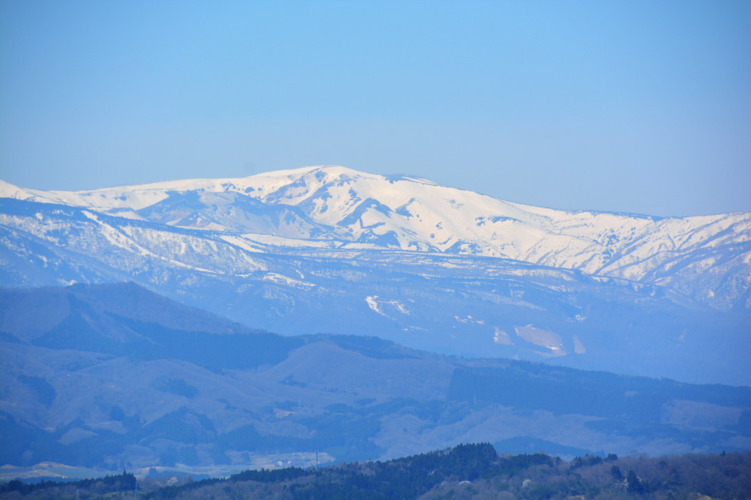 a0148206_16534267.jpg