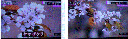 f0231709_10173581.gif