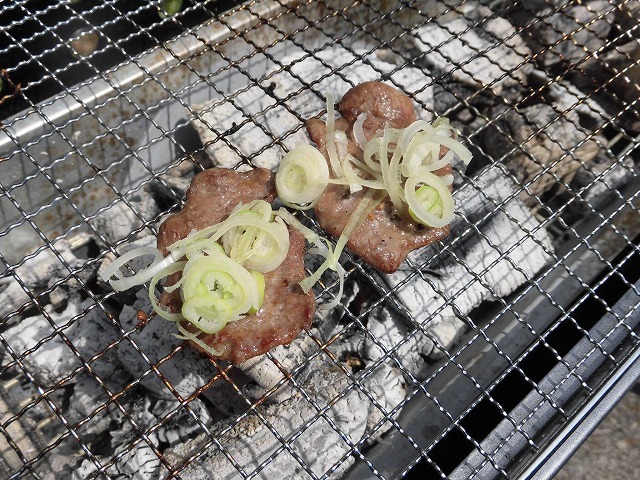 飲んで、食べた! お花見ウォークの翌日は「お花見バーベキュー」in田宿川・井出緑地_f0141310_07113491.jpg