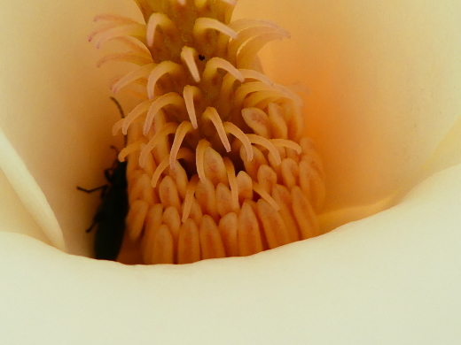 c0062511_21264315.jpg