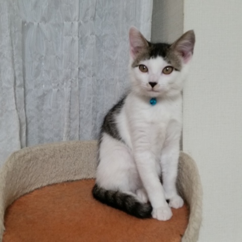 e0144012_20125164.jpg