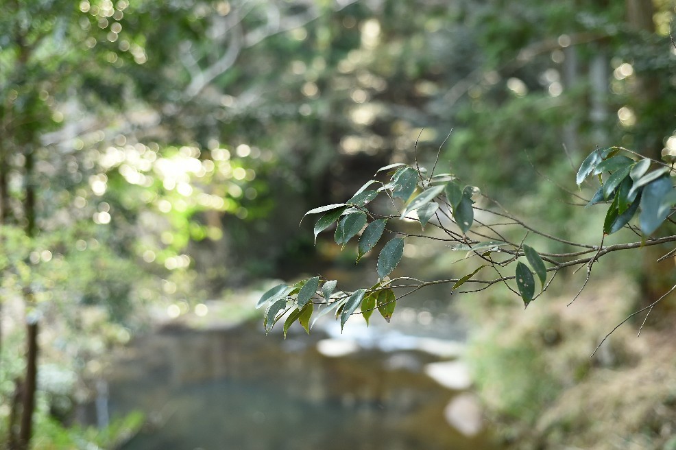 a0159215_02034626.jpg