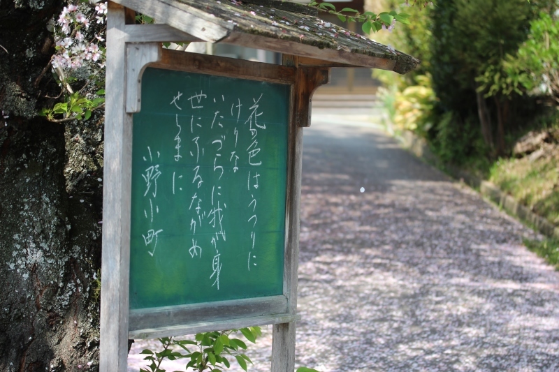 一人茶会 ご案内_b0220318_07481666.jpg