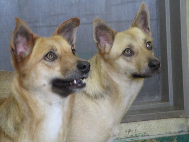 f0078320_00054841.jpg