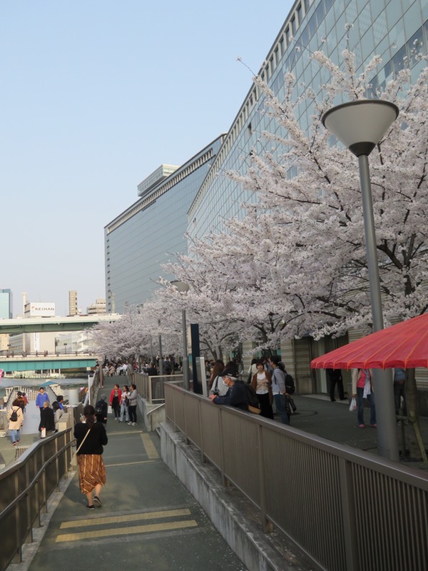 d0352628_1738924.jpg
