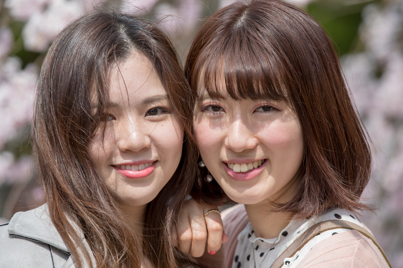 美 素敵な笑顔を求めて 美人美人 美人を求めて 美を求めて 自然を求めて アルプスを求めて 自然の美と美 野山の散策 美 素敵な笑顔を求めて 美人美人 美人を求めて 美を求めて 自然を求めて アルプスを求めて 自然の美と美 野山の散策