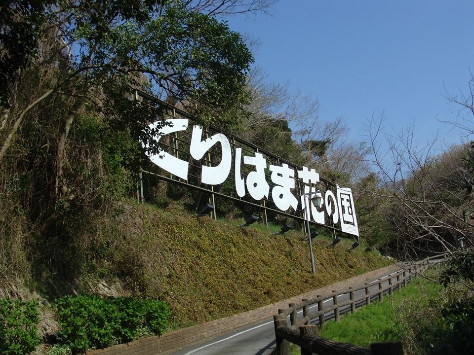 d0269832_06552283.jpeg