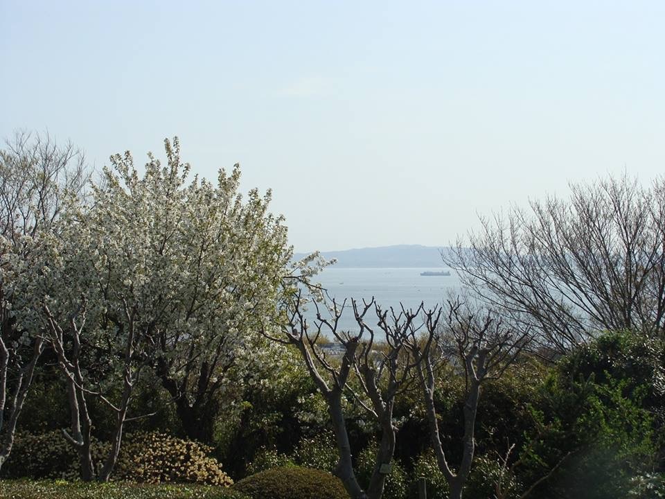 d0269832_06555013.jpeg