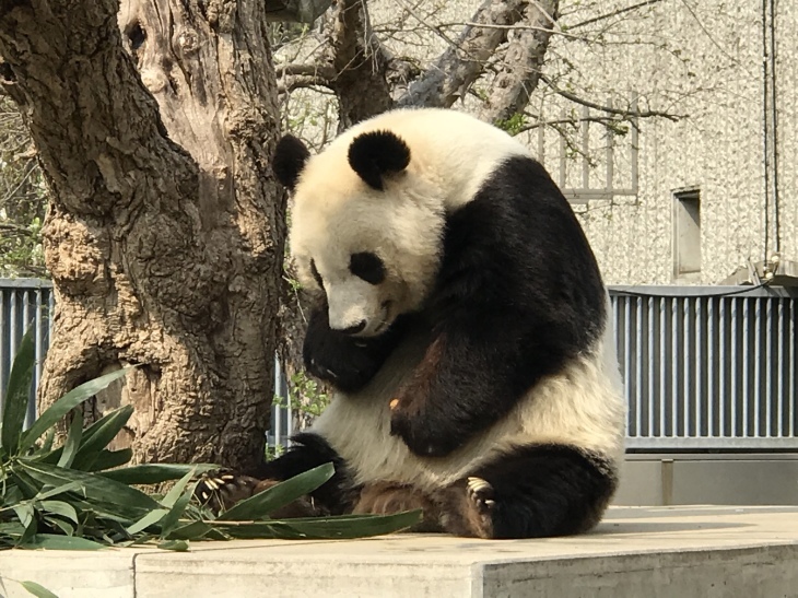 b0042439_05394388.jpeg