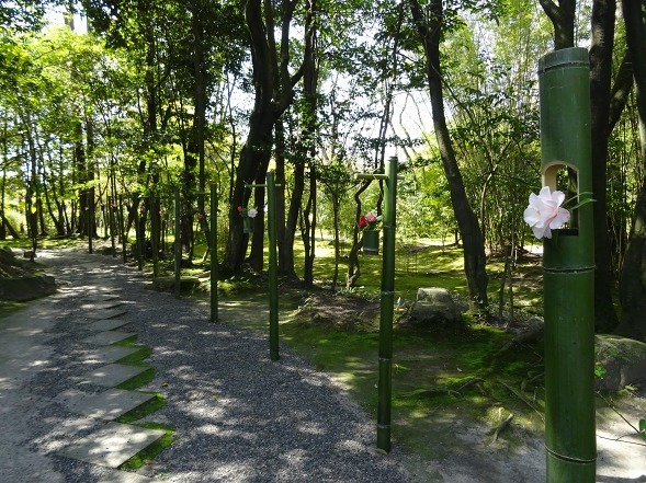 b0299042_15433897.jpg