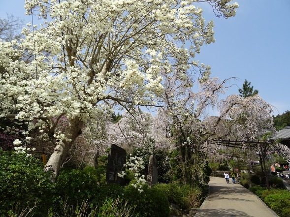 b0299042_17560090.jpg