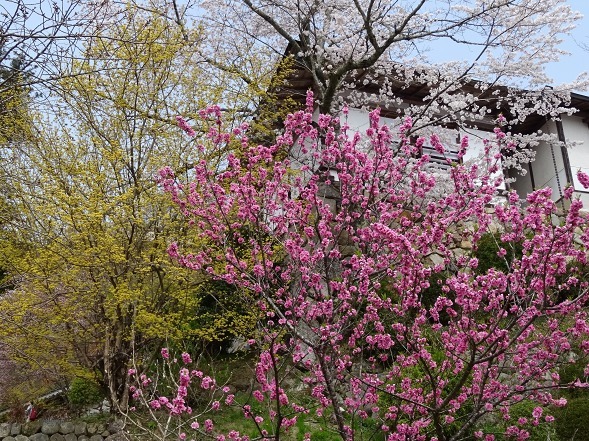 b0299042_17562661.jpg