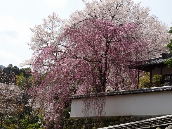 b0299042_17563458.jpg