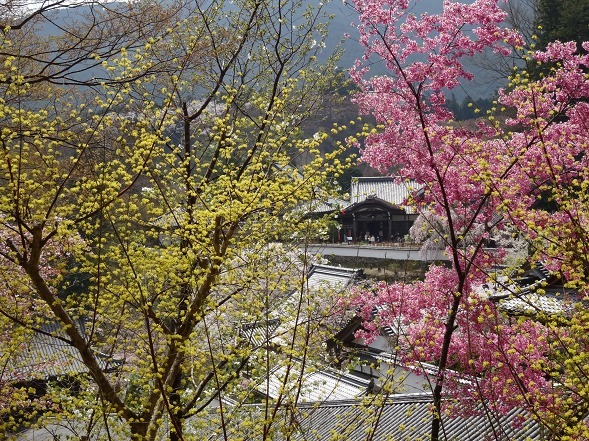 b0299042_17563895.jpg