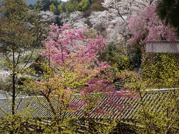 b0299042_17564225.jpg
