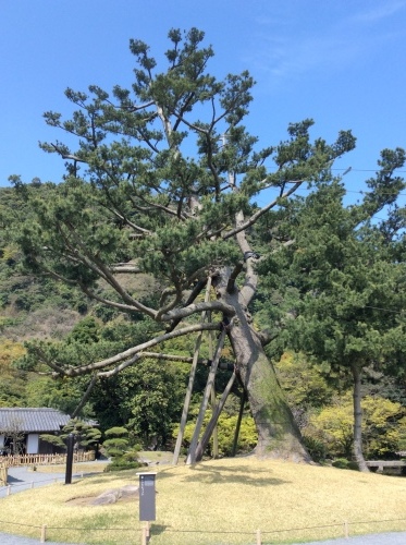 c0122744_10002537.jpeg