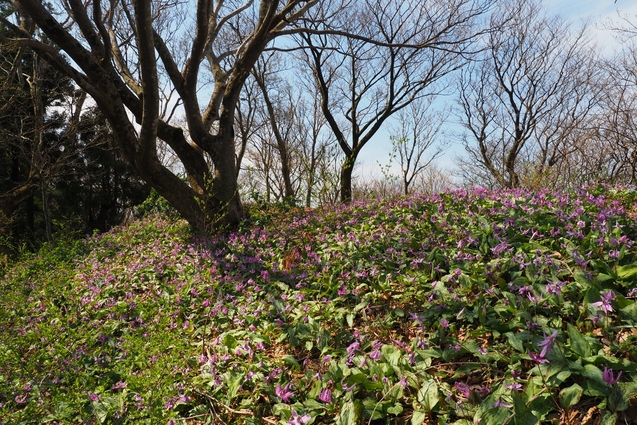 2018/4/5 国上山_b0189948_23202169.jpg