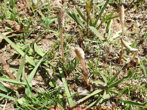 d0105749_20031441.jpg