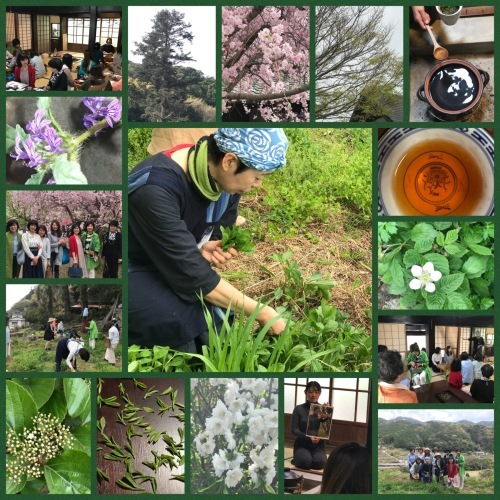 大村萱瀬 天音へ_d0237757_00030389.jpeg