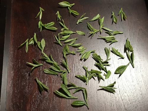 大村萱瀬 天音へ_d0237757_00215714.jpeg