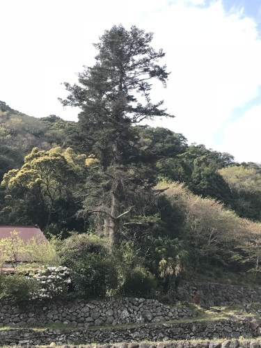 大村萱瀬 天音へ_d0237757_00224689.jpeg