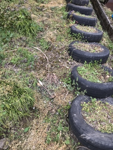 大村萱瀬 天音へ_d0237757_00243702.jpeg