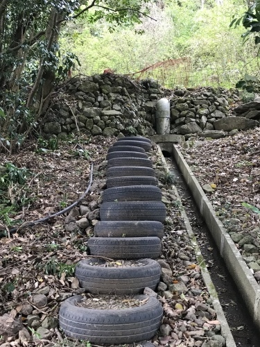 大村萱瀬 天音へ_d0237757_00253491.jpeg