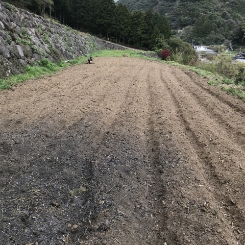 大村萱瀬 天音へ_d0237757_00260751.jpeg