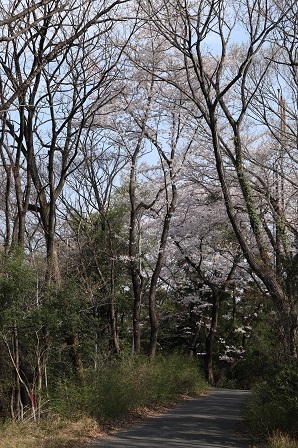 a0208560_09312859.jpg