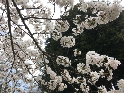 a0295764_23134468.jpeg