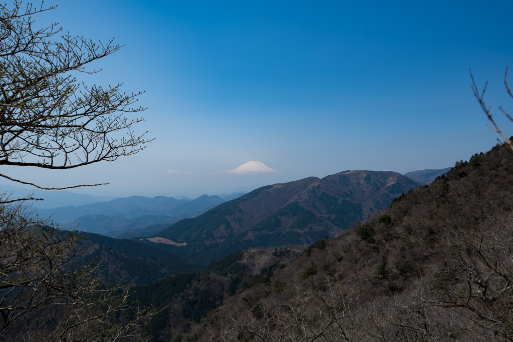 2018 山歩記・今年の初山歩き【 大山（丹沢）】_b0247073_00010263.jpg