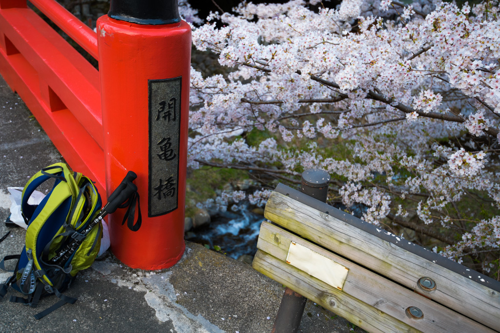 2018 山歩記・今年の初山歩き【 大山（丹沢）】_b0247073_00033959.jpg