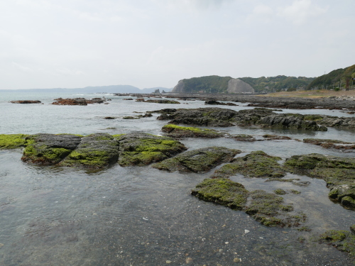 海辺は境界線_f0054677_08262585.jpg