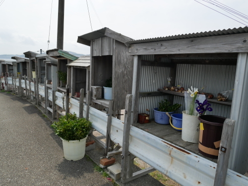 海辺は境界線_f0054677_08263471.jpg