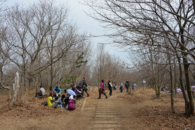 花の山～角田山②♪_e0331878_20441173.jpg