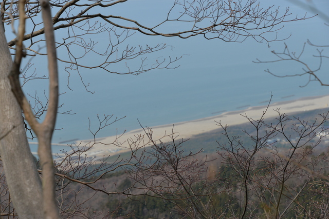 花の山～角田山②♪_e0331878_20493691.jpg