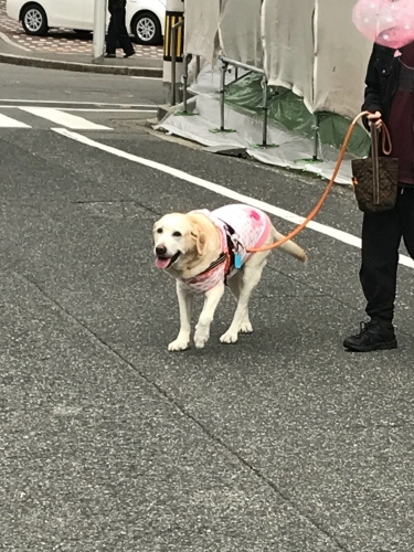 f0315081_19373748.jpeg