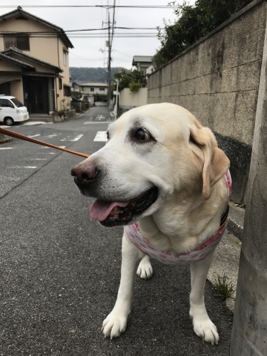 f0315081_19391844.jpeg